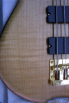 Flamed Maple Body